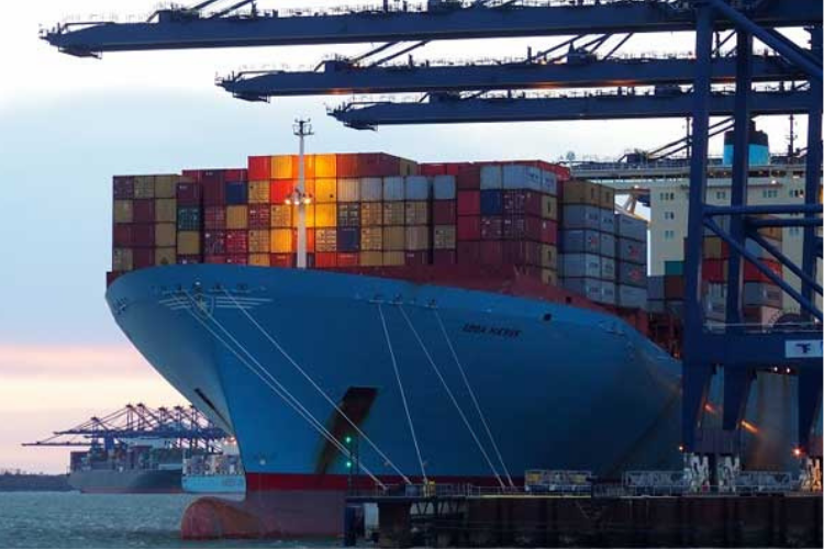 Proje Taşımacılığı